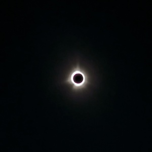 PXL_20240408_193237638.jpg