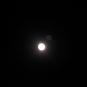 PXL_20240423_021953942.jpg