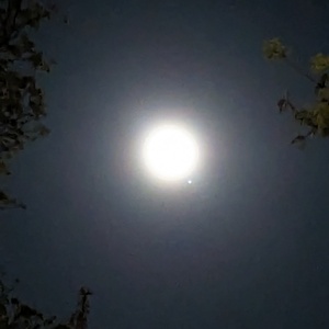 PXL_20240423_022212601.jpg