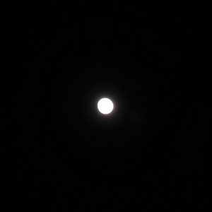 PXL_20240423_022229798.jpg