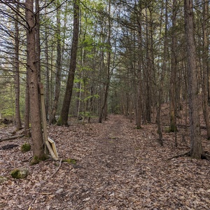PXL_20240506_223621053.jpg