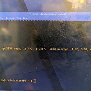 PXL_20240525_132509567.jpg