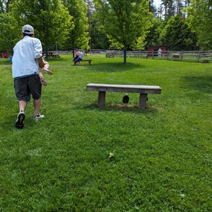 PXL_20240526_164700423.jpg