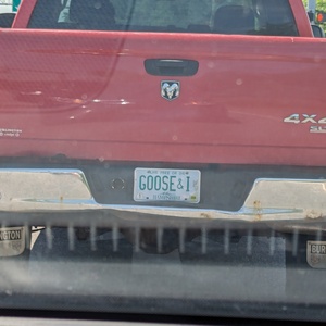PXL_20240602_154932145.jpg