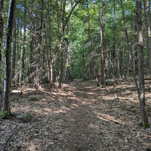 PXL_20240605_210808885.jpg