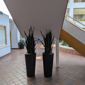PXL_20240625_123154633.jpg