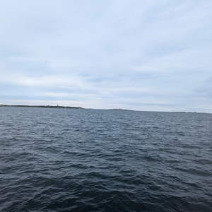 PXL_20240629_135015987.jpg