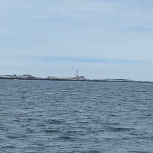 PXL_20240629_135033243.jpg