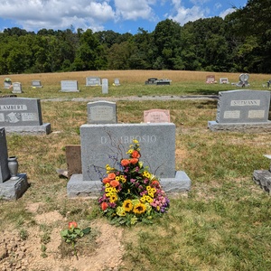 PXL_20240706_160018221.jpg