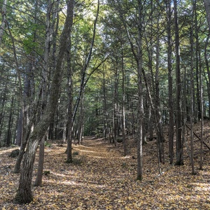 PXL_20241003_185222207.jpg