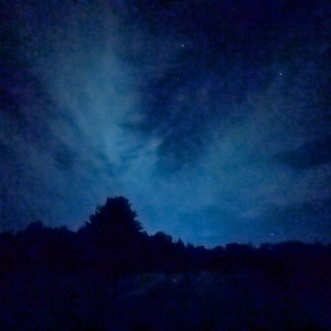PXL_20241008_055219673.NIGHT.jpg