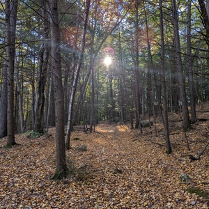 PXL_20241011_124438562.jpg