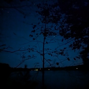 PXL_20241012_013849020.NIGHT.jpg