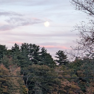 PXL_20241015_220126202.jpg