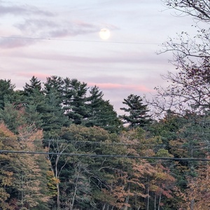 PXL_20241015_220134027.jpg