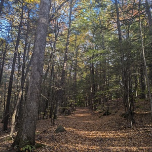 PXL_20241017_192457642.jpg