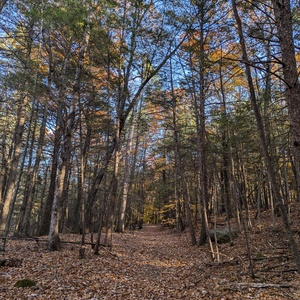 PXL_20241024_193949653.jpg