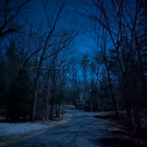 PXL_20241117_045206358.NIGHT.jpg