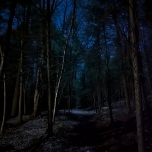PXL_20241117_045426878.NIGHT.jpg