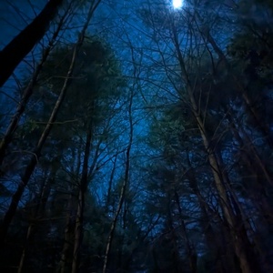 PXL_20241117_045502498.NIGHT.jpg