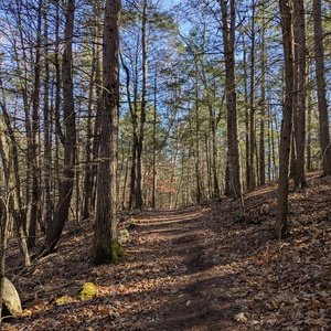 PXL_20241125_172414150.jpg
