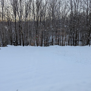 PXL_20241129_204810971.jpg