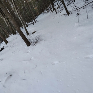 IMG_20250120_161129909_HDR_AE.jpg