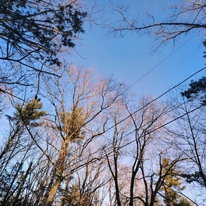 IMG_20250130_160155786_AE.jpg