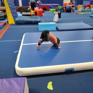 IMG_20250202_110511659.jpg