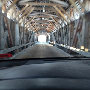 IMG_20250222_160950606.jpg