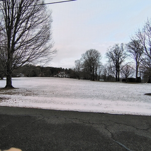 IMG_20250104_162035889_HDR_AE.jpg