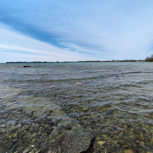 IMG_20250420_135034127_HDR_AE.jpg