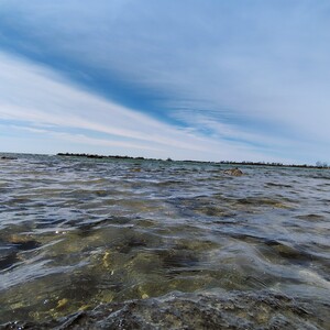 IMG_20250420_135114050_HDR_AE~2.jpg