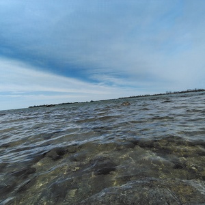 IMG_20250420_135115728_HDR.jpg