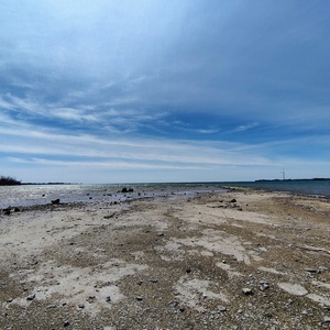 IMG_20250420_141526152_HDR_AE.jpg