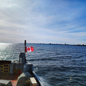 IMG_20250420_163606132_HDR_AE.jpg