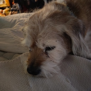 IMG_20250529_083813453_HDR.jpg