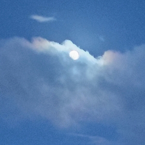 IMG_20250510_195626314_HDR_AE.jpg