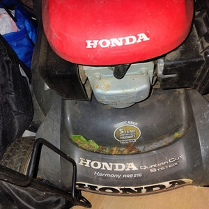 IMG_20250710_193458308_AE.jpg