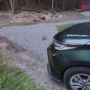 IMG_20250730_201412026_HDR.jpg