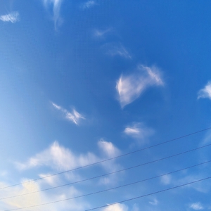 IMG_20250808_193540954_HDR_AE.jpg
