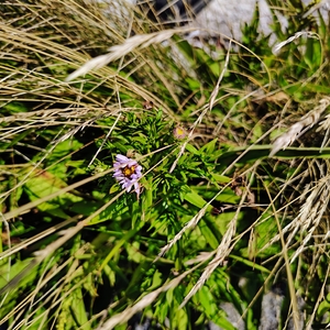 IMG_20250823_135715386_HDR_AE.jpg