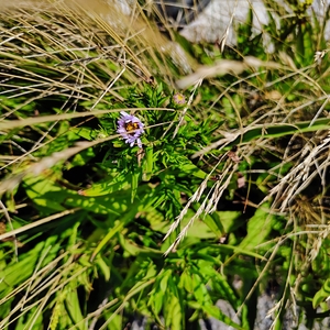 IMG_20250823_135716937_HDR_AE.jpg