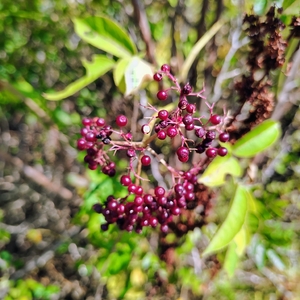 IMG_20250823_140353382_HDR_AE.jpg