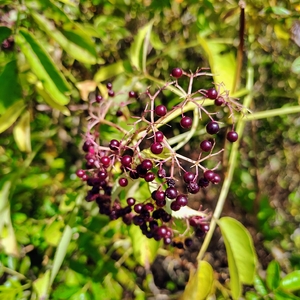IMG_20250823_140357017_HDR_AE.jpg