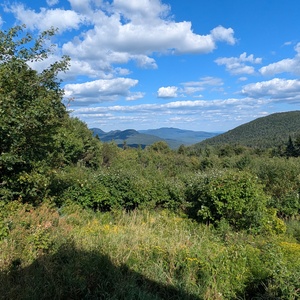 PXL_20250822_195844439.jpg