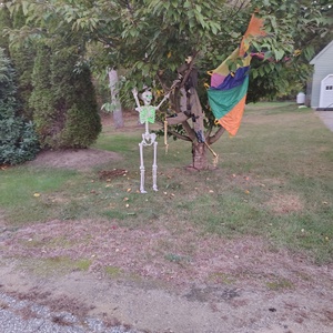 IMG_20251005_182458642_HDR.jpg